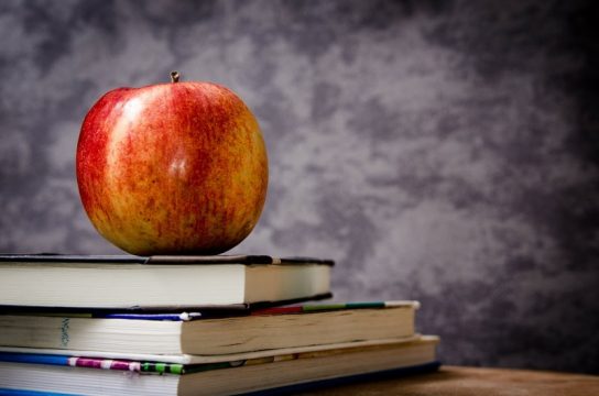 Education, substitute, school, teach, DESE, lottery, teachers